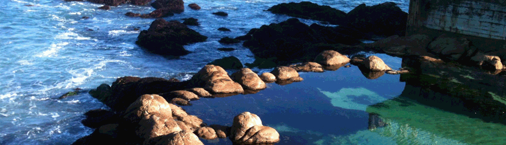 Move When It Counts – Counseling for Resilience and Healing